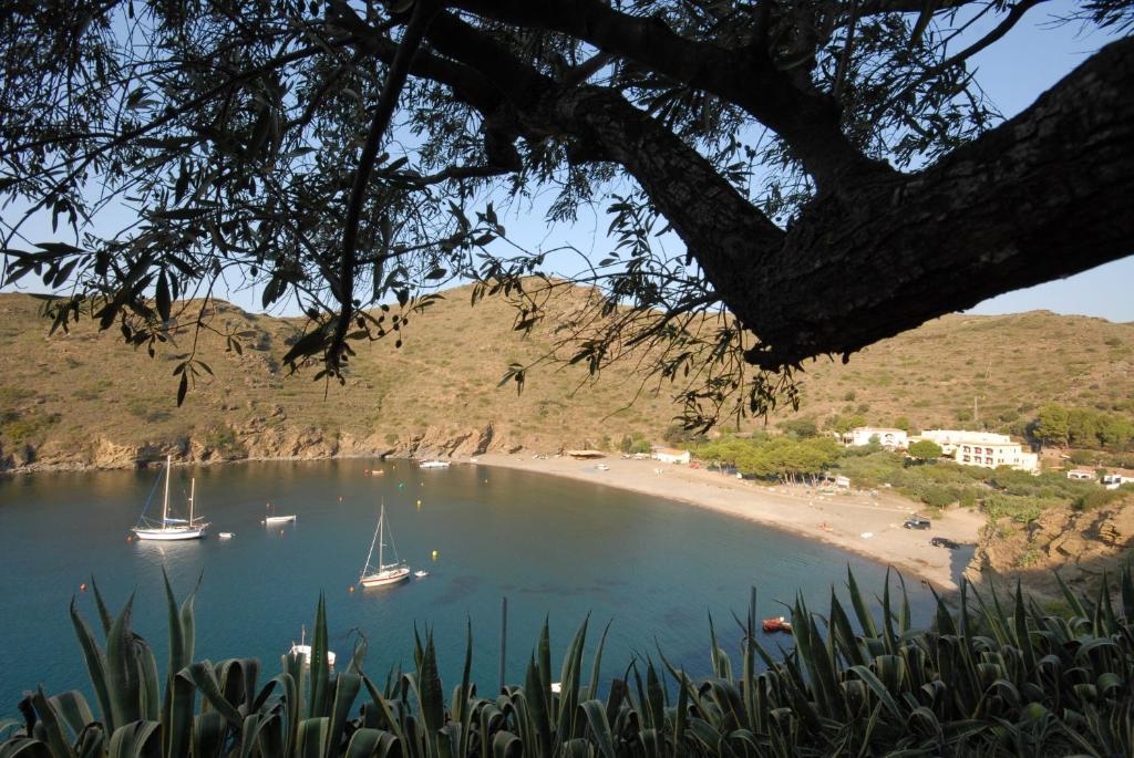 Hotel Cala Joncols Roses Dış mekan fotoğraf