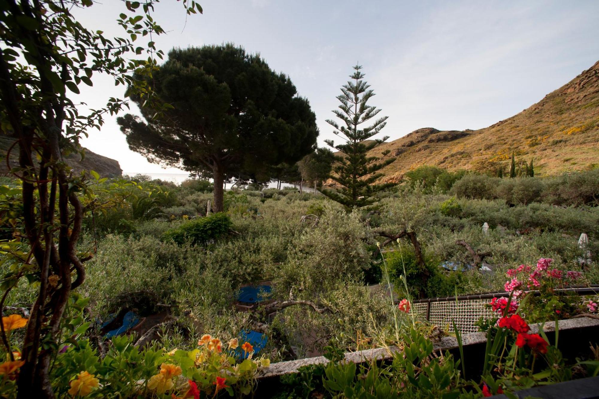 Hotel Cala Joncols Roses Dış mekan fotoğraf