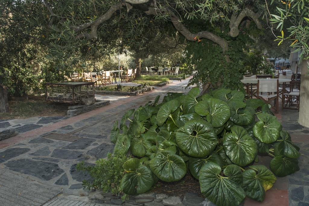 Hotel Cala Joncols Roses Dış mekan fotoğraf